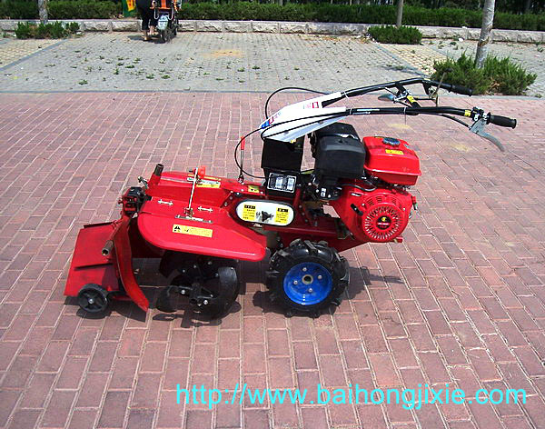 开沟成人天天看片