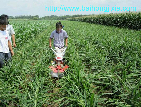 开沟成人天天看片