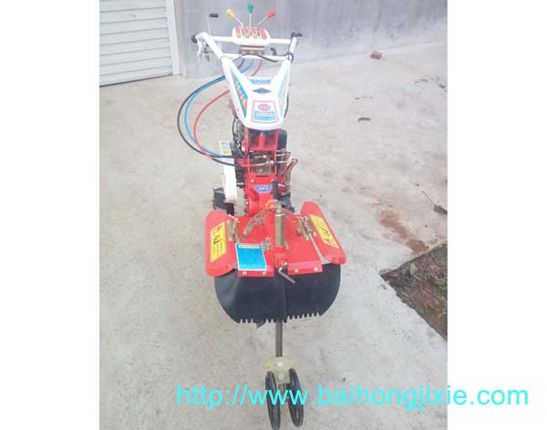 前后全齿轮天天5G天天奭看片免费