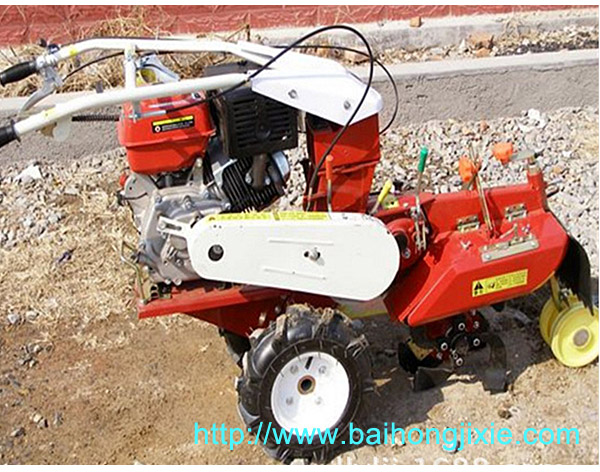 全齿轮开沟成人天天看片