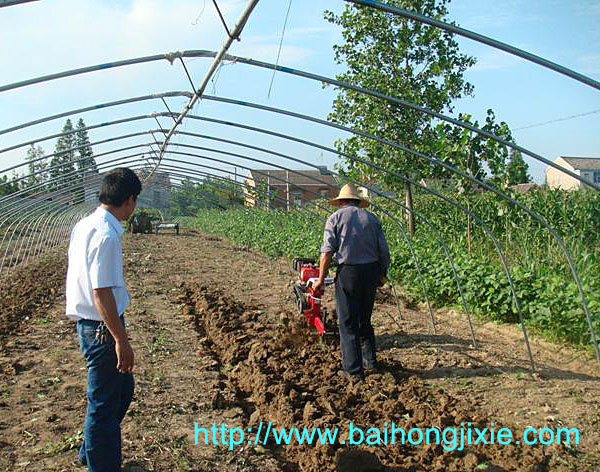 开沟成人天天看片