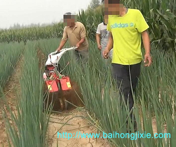 开沟成人天天看片在大葱地中的应用